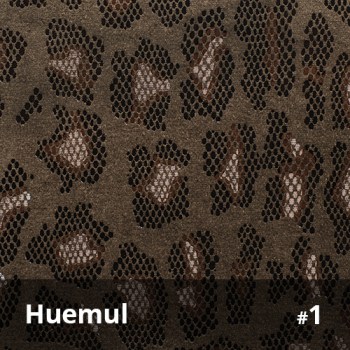 Huemul 1